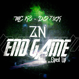 ZN End Game (Sped Up)