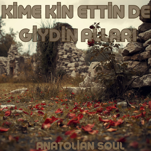 Kime Kin Ettin de Giydin Alları
