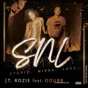 S.N.L (feat. ODUBB) (Radio Edit)
