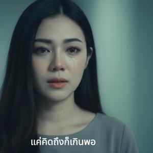 แค่คิดถึงก็เกินพอ