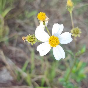 新录音3_2022-03-22_133645