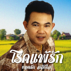 มองให้ซึ้ง