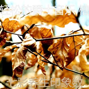 安静的养生声音