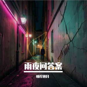 雨夜问答案