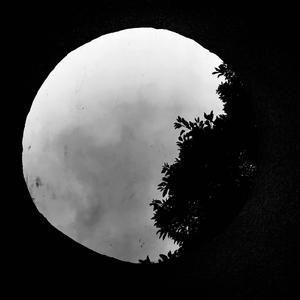 从零开始（prod by MRZ）