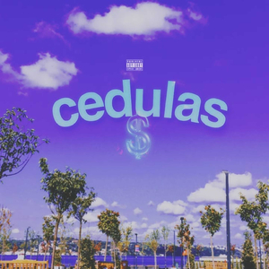 CÉDULAS (speed up)