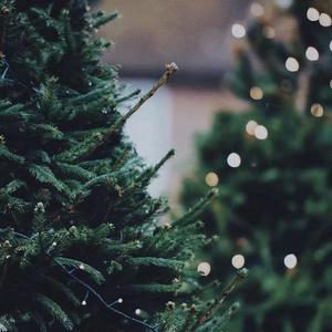 是你想成为的大人吗