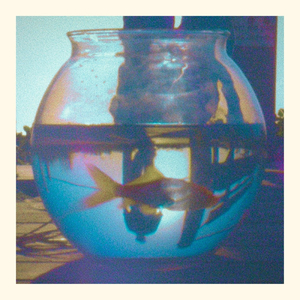 יבוא בקרוב (כנראה)