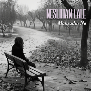 Anasını Sattığım