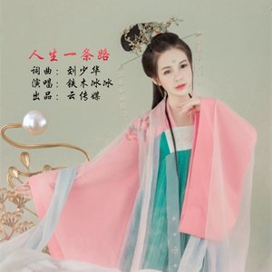 人生一条路（DJ版）