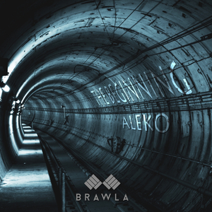 That Specific Frequency (Original Mix)