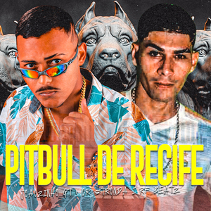 Pitbull de Recife