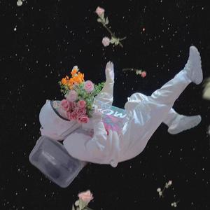 太空森林 (Mai玩具盒bonus)