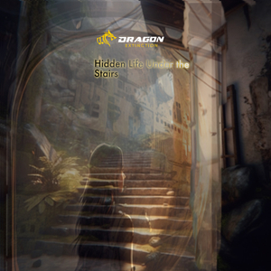 Hidden Life Under the Stairs