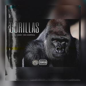 Gorillas
