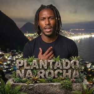 Plantado Na Rocha