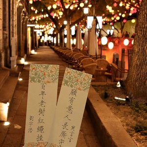 周言言and刘宇浩