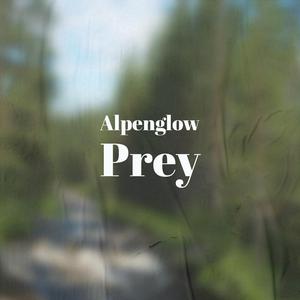 Alpenglow Prey