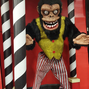 Directo de la sierra