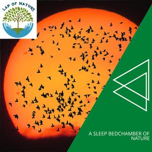 Deeper into the Ocean