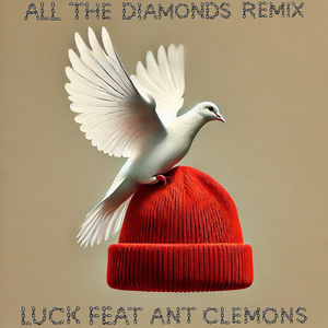 All the Diamonds (Remix)