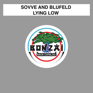 Lying Low (Orsenite Introspective Remix)