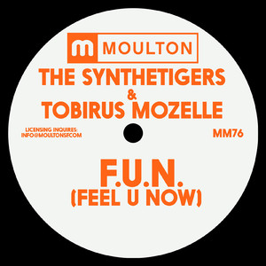 F.U.N. (Feel U Now) (Dub Mix)