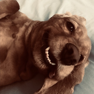 Bazı güzel şeylerin sonu