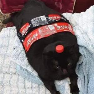 Come Around Me (slowed)