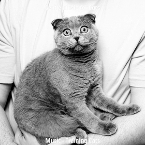 Relaxed (Training Cats)