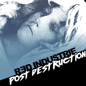 Post Destruction (Radio Edit)