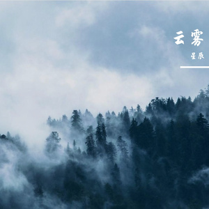砺弦势弦