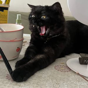 雾埋山（左右beat） 1