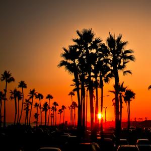 Не твой уровень дорогой