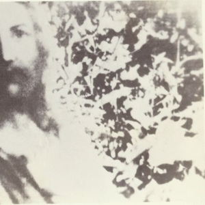 49