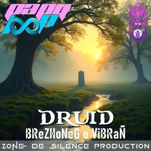 DRuiD BZH BReZHoNeG o ViBRaÑ