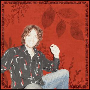 KLISTER (Bonus track) (feat. LIM)