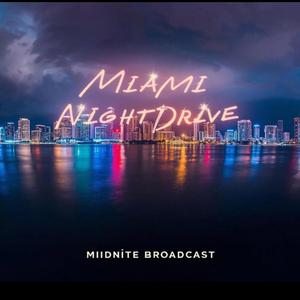 Miami Night Drive