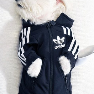 Come In With The Rain (slowed)