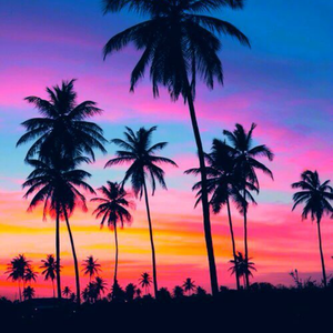 盛夏派对+Retro 80's × Disco Type Beat "Summer Night"