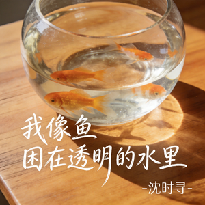 我像鱼困在透明的水里
