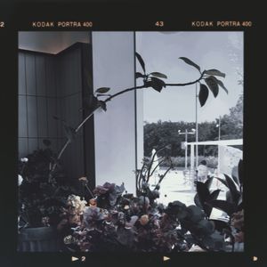 SINGLE&COUPLE（Proud by 金桔ORANG3）