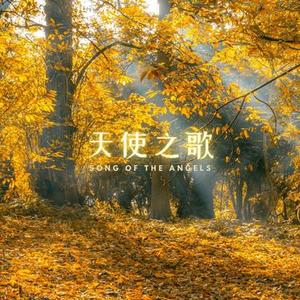 温柔之曲