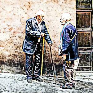 American Buffalo (Bison)