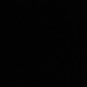 Fighting for freedom