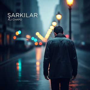 Şarkılar