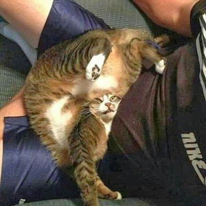 Weird Machine (sped up)