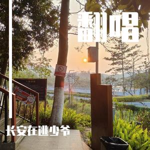 风的呼吸（艾克斯Dragon）