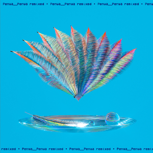 Poco Pelo (Lorenzo BITW Remix)