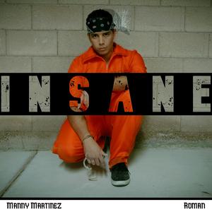 Insane (feat. Roman)